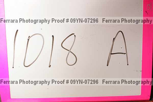 Proof 09yn-07296