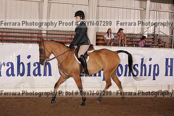Proof 09yn-07299