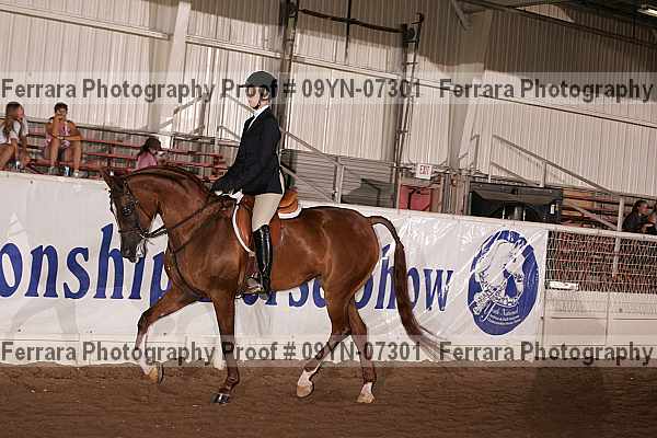 Proof 09yn-07301