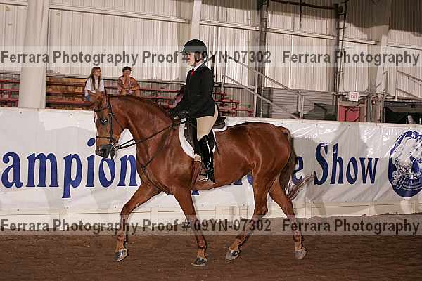 Proof 09yn-07302