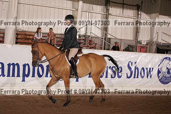 Proof 09yn-07303