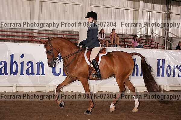 Proof 09yn-07304