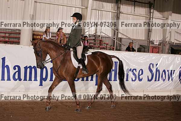 Proof 09yn-07306