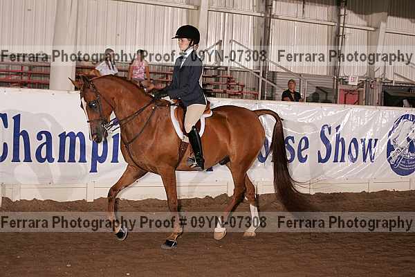 Proof 09yn-07308
