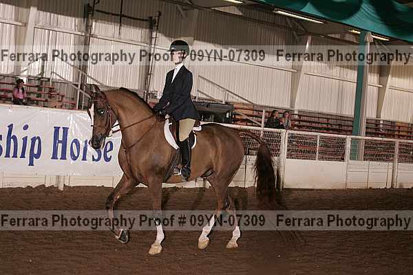 Proof 09yn-07309
