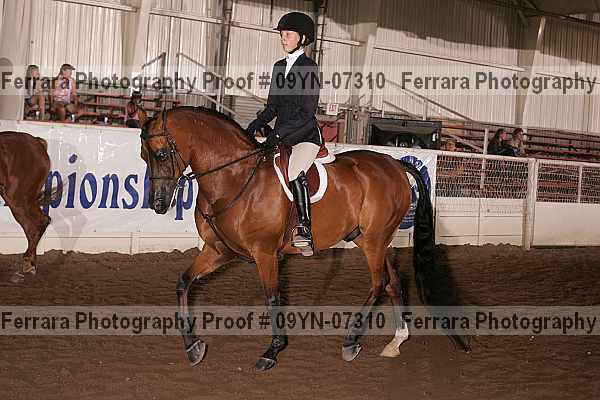 Proof 09yn-07310