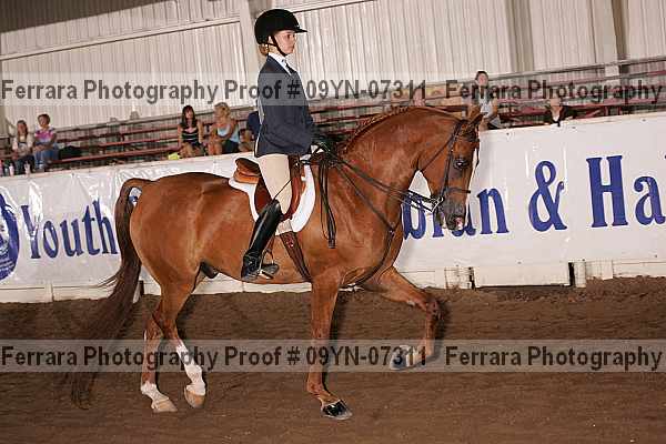 Proof 09yn-07311