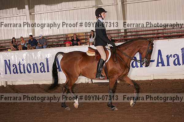 Proof 09yn-07313