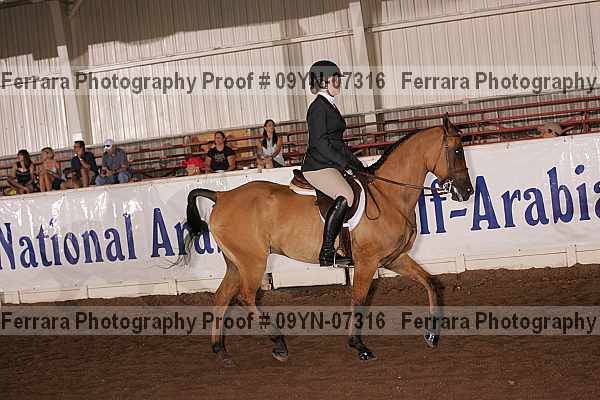 Proof 09yn-07316