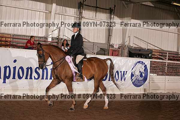 Proof 09yn-07323