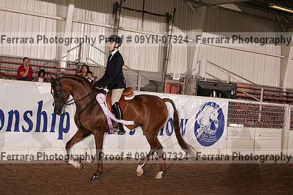 Proof 09yn-07324