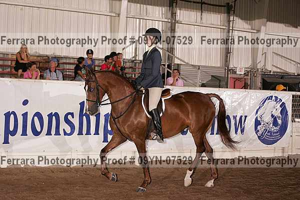 Proof 09yn-07529