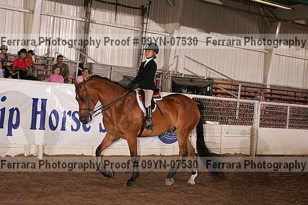 Proof 09yn-07530