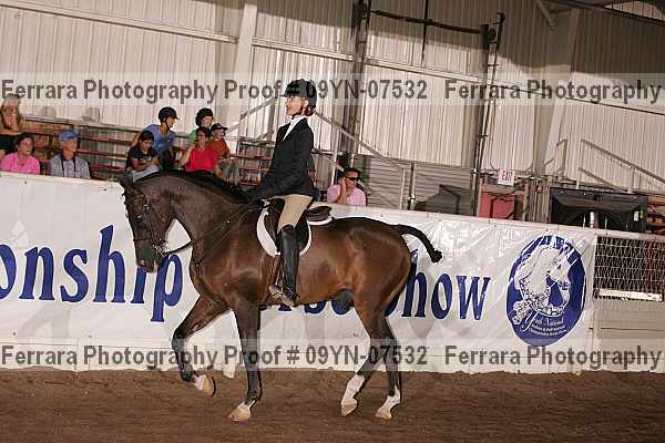 Proof 09yn-07532