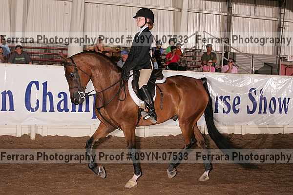 Proof 09yn-07533