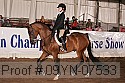 09yn-07533 proof