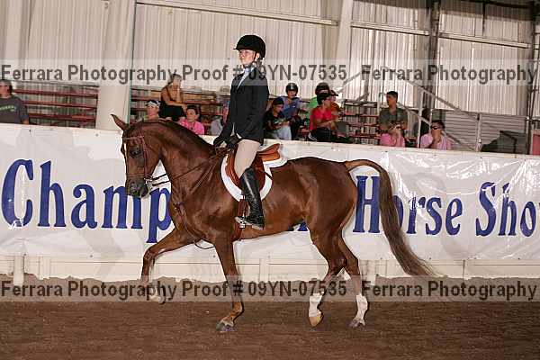 Proof 09yn-07535
