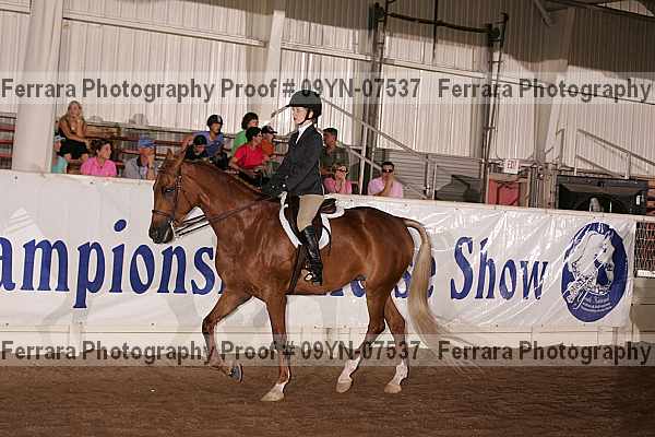 Proof 09yn-07537