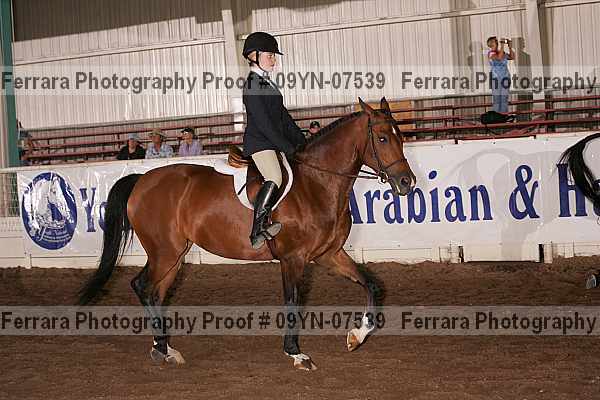 Proof 09yn-07539