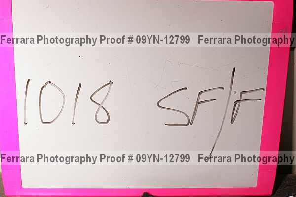 Proof 09yn-12799