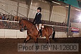 09yn-12800 proof