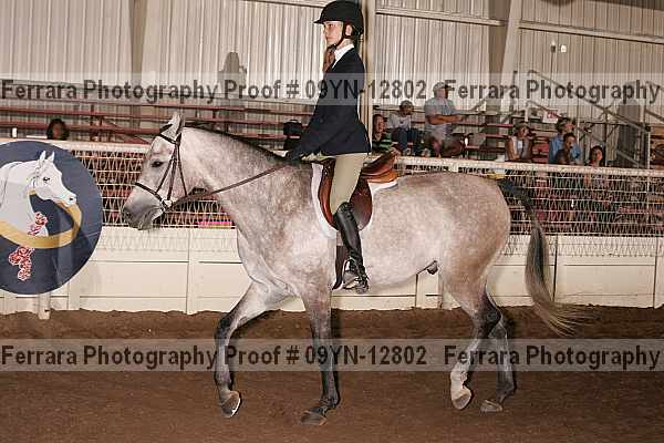 Proof 09yn-12802