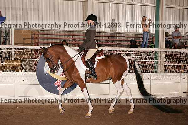 Proof 09yn-12803