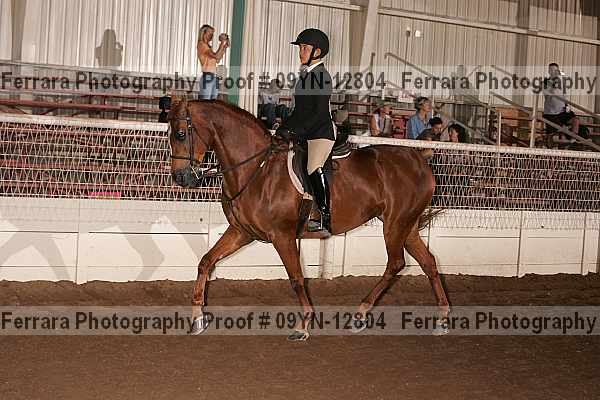 Proof 09yn-12804