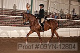 09yn-12804 proof