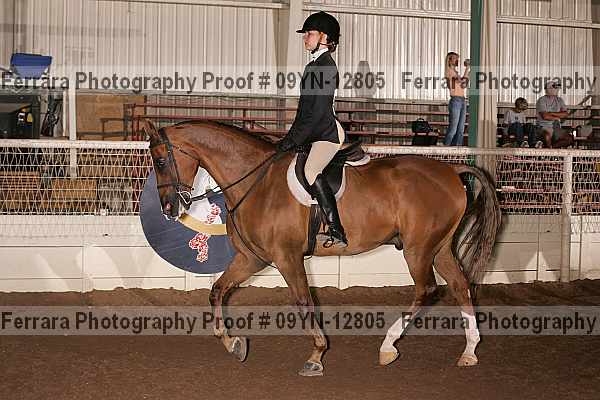 Proof 09yn-12805
