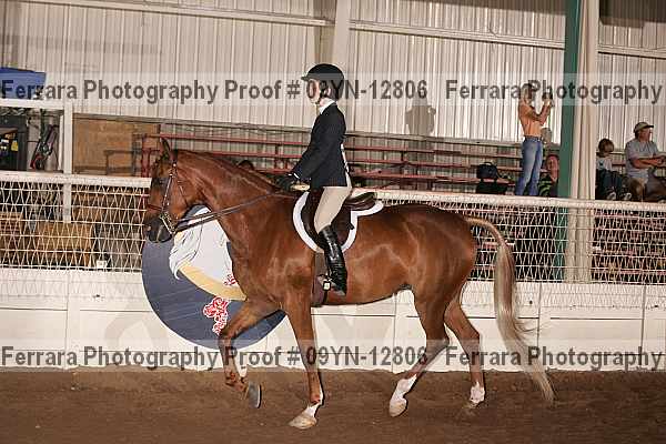 Proof 09yn-12806