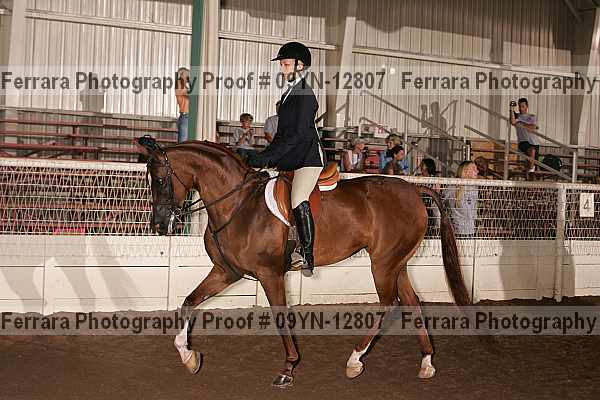 Proof 09yn-12807
