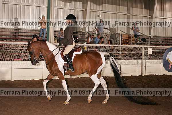 Proof 09yn-12808