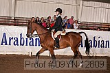 09yn-12809 proof