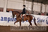 09yn-12812 proof