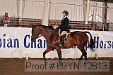 09yn-12813 proof