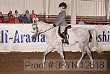 09yn-12818 proof
