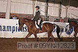 09yn-12823 proof