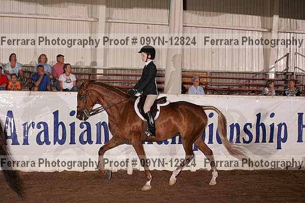 Proof 09yn-12824