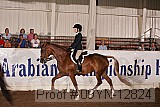 09yn-12824 proof