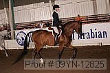 09yn-12825 proof