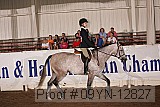 09yn-12827 proof