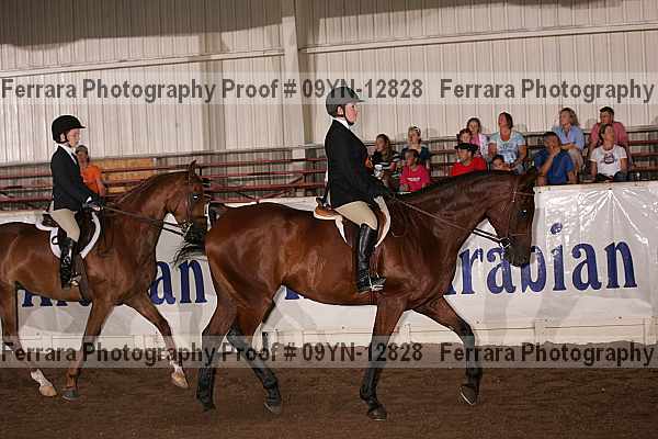 Proof 09yn-12828
