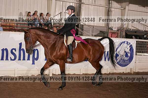 Proof 09yn-12848
