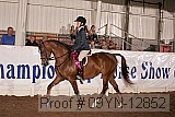 09yn-12852 proof