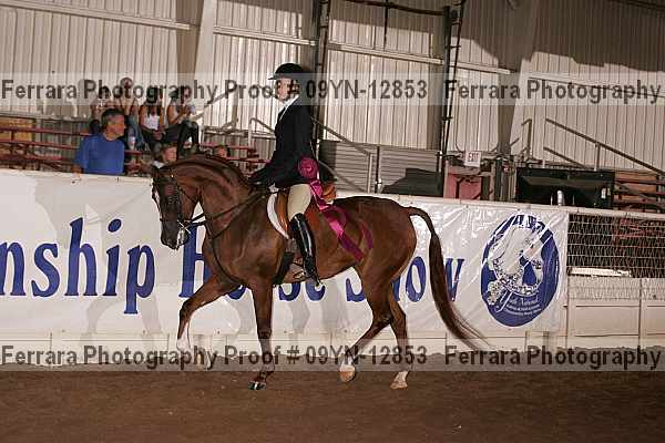 Proof 09yn-12853