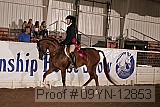 09yn-12853 proof
