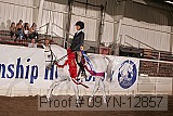 09yn-12857 proof