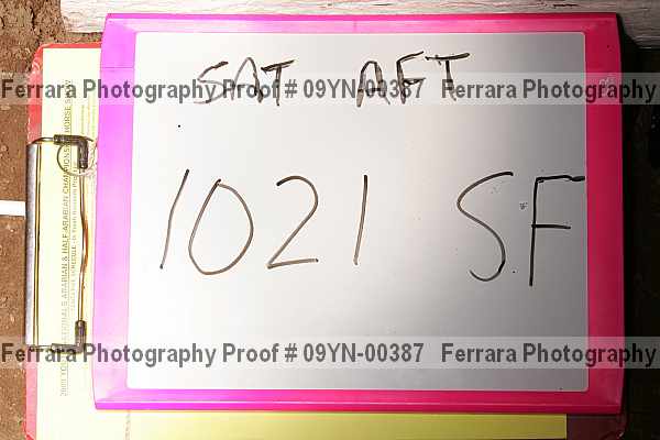 Proof 09yn-00387