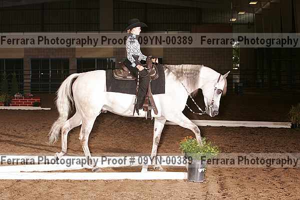 Proof 09yn-00389